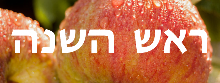 High Holiday Newsletter 2025 ✡️ 5786