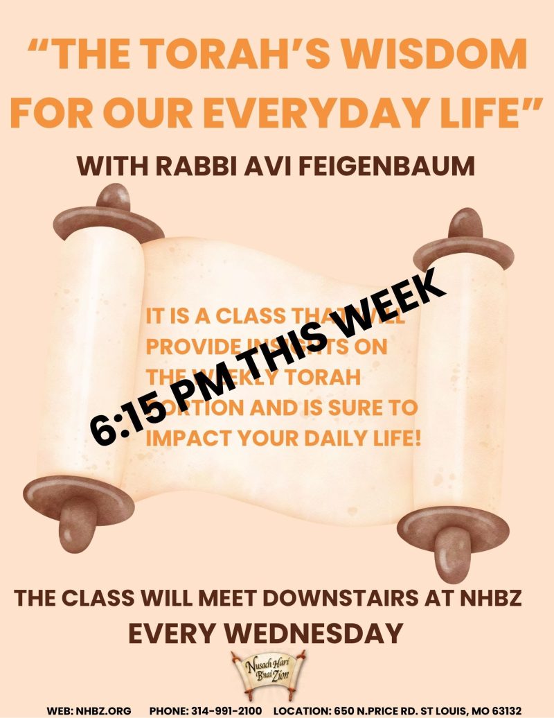 The Torah's Wisdom for Our Everyday Life