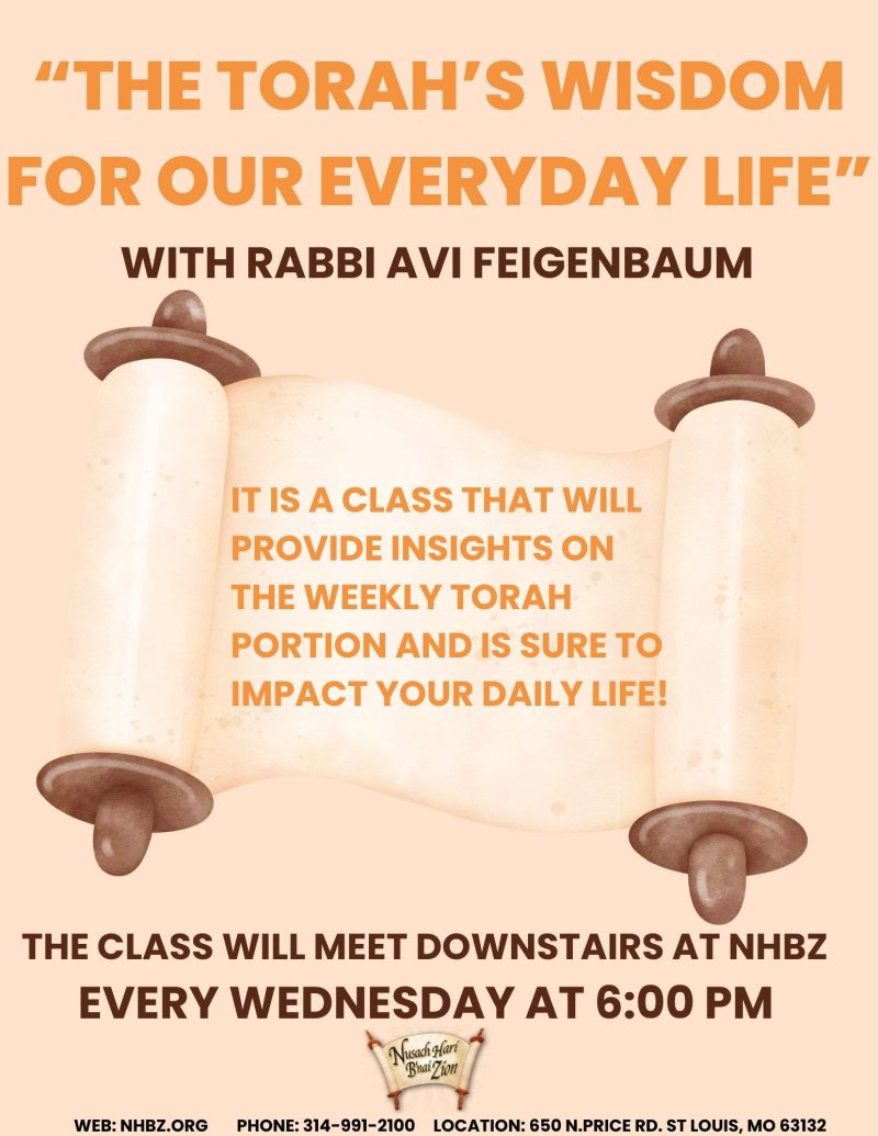 The Torah's Wisdom for Our Everyday Life