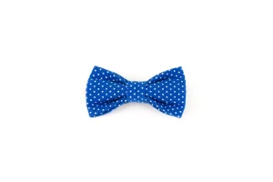 Blue and white polka dot bowtie